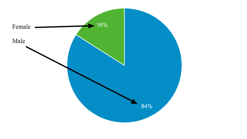 Demographics Gender Google Analytics