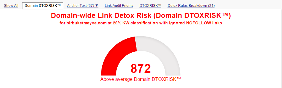 link detox risk skoru